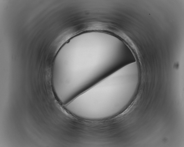 X0000091551337200708171033