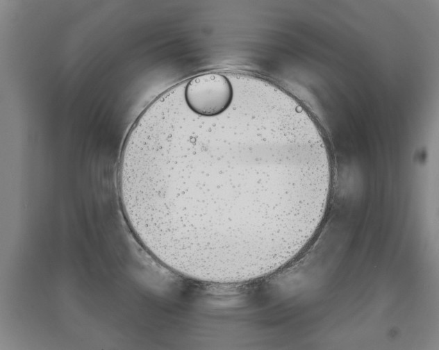 X0000091551338200708171033