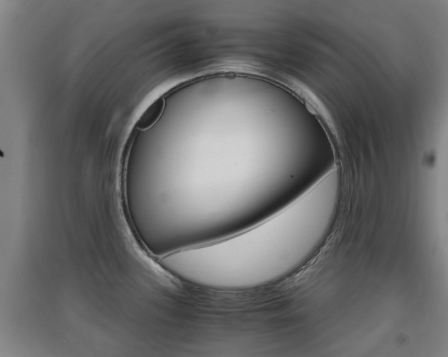 X0000091551339200708171033