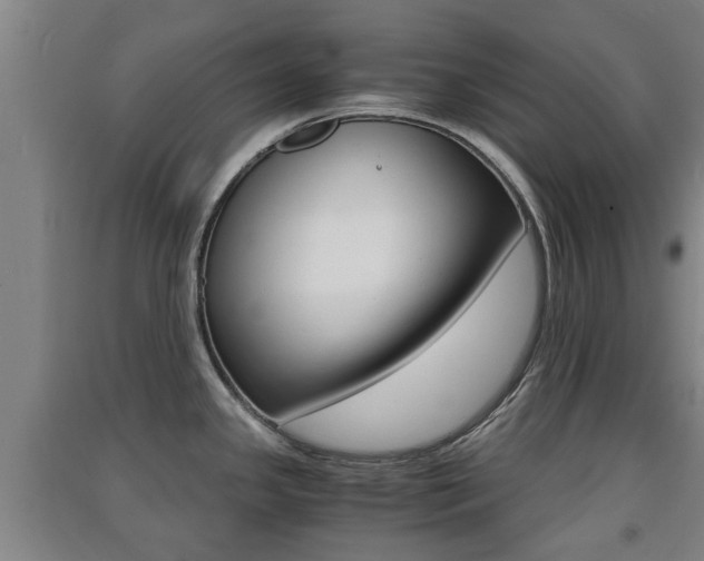 X0000091551341200708171033