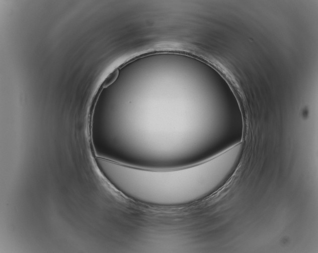 X0000091551342200708171033