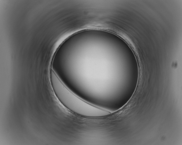 X0000091551344200708171033