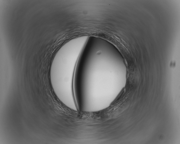 X0000091551345200708171033