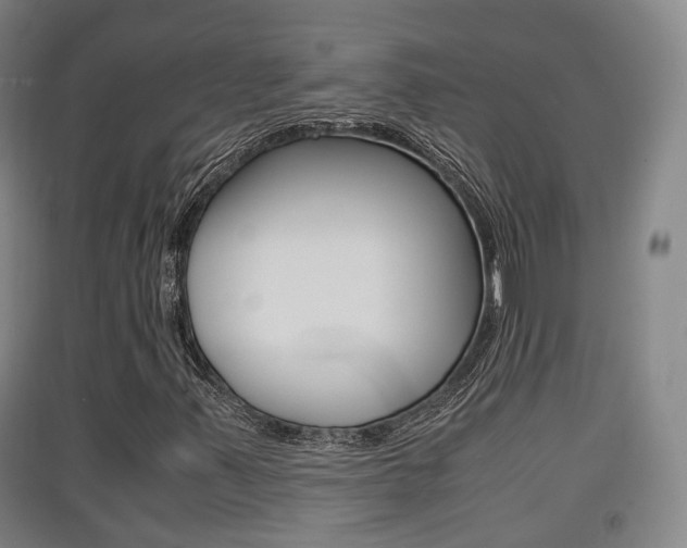 X0000091551347200708171033