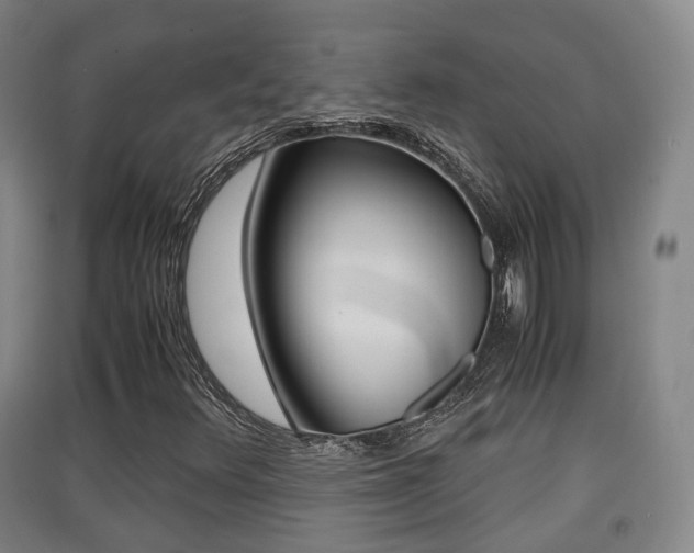 X0000091551348200708171033