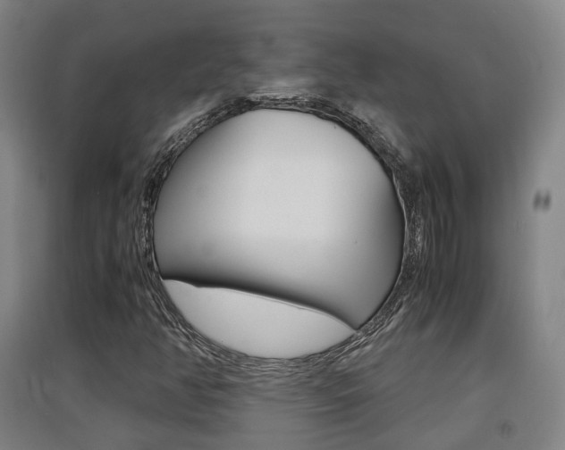 X0000091551350200708171033