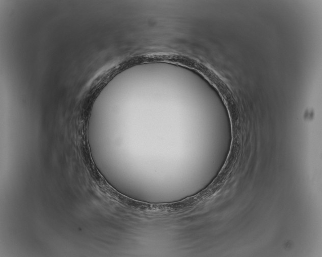 X0000091551351200708171033