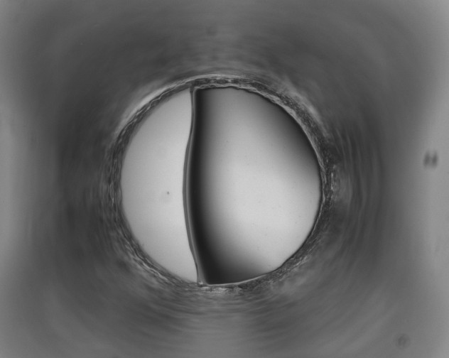 X0000091551352200708171033
