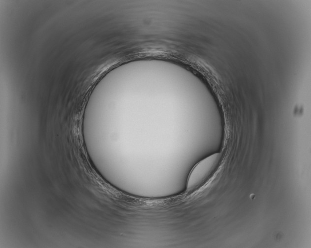 X0000091551353200708171033