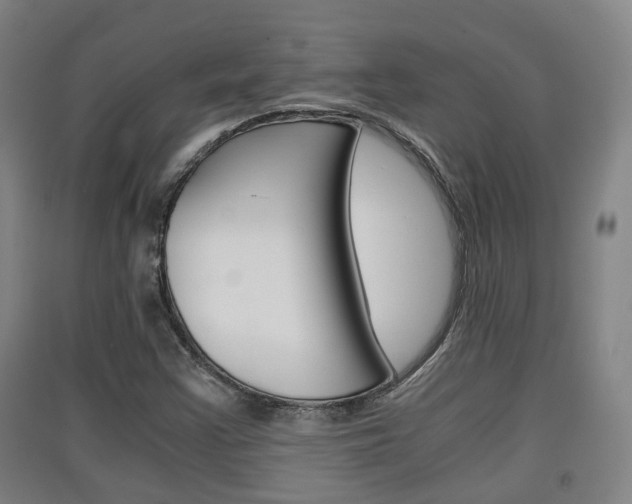 X0000091551355200708171033