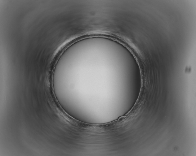 X0000091551356200708171033