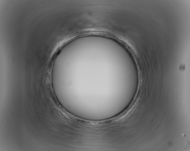 X0000091551357200708171033