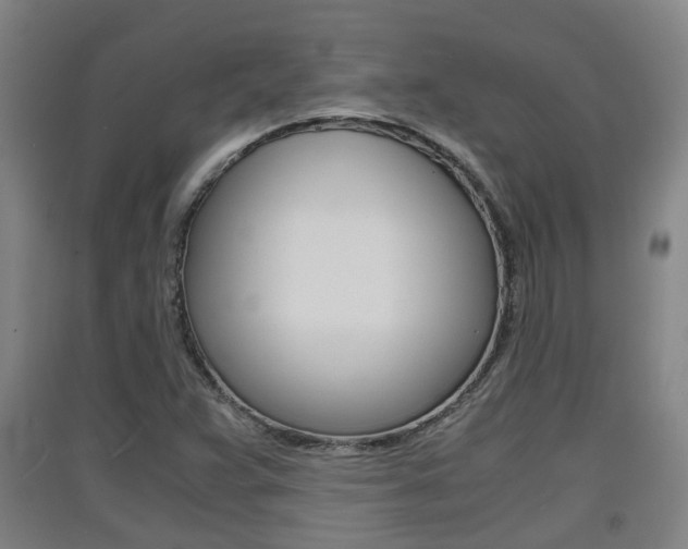 X0000091551359200708171032