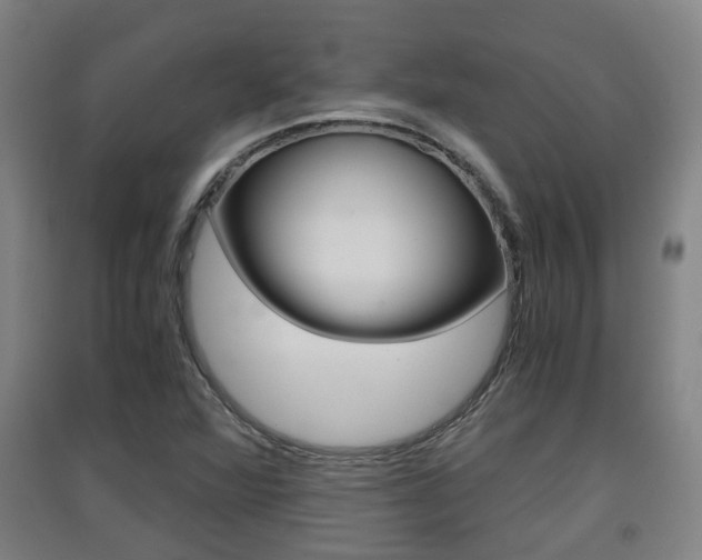 X0000091551360200708171032