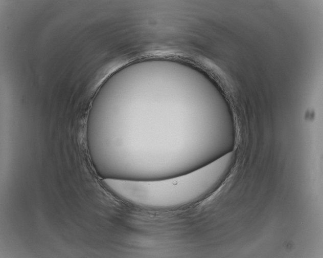 X0000091551361200708171032