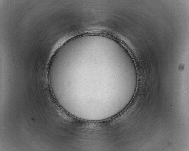 X0000091551362200708171032