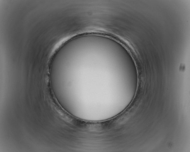 X0000091551363200708171032
