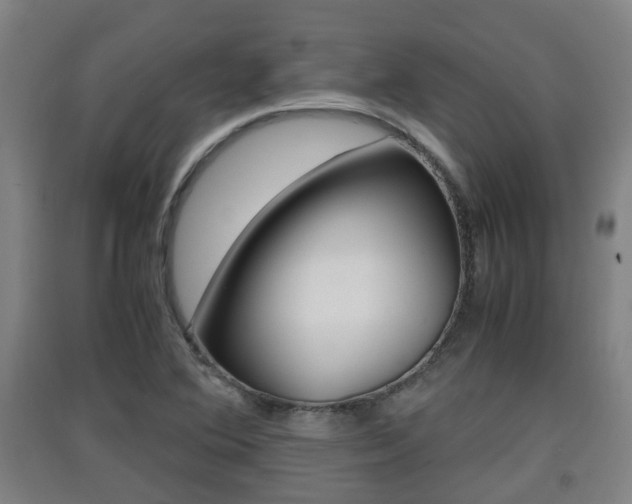 X0000091551364200708171032