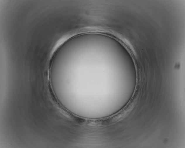 X0000091551365200708171032