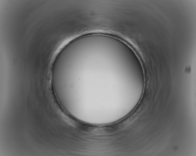 X0000091551367200708171032