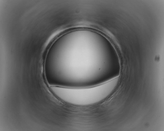 X0000091551368200708171032
