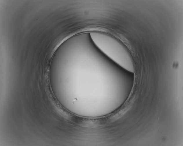 X0000091551369200708171032
