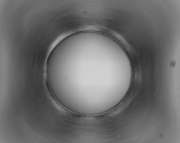X0000091551370200708171032