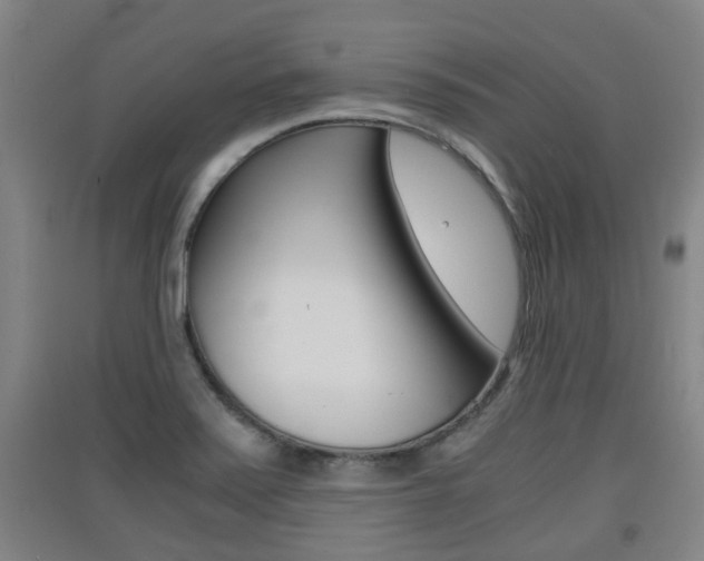 X0000091551371200708171032