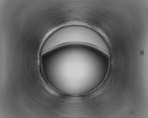 X0000091551372200708171032