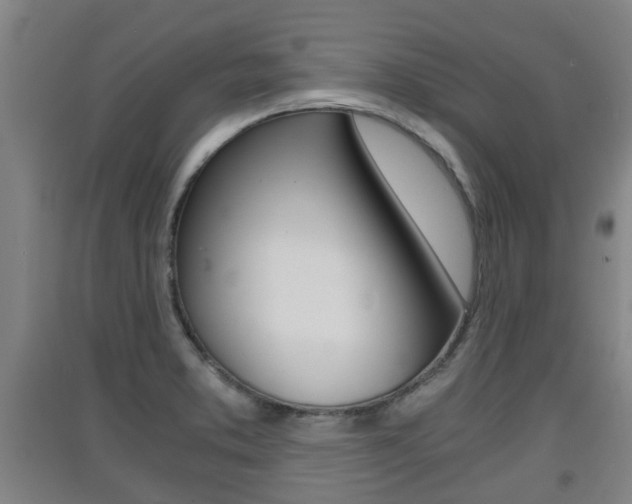 X0000091551373200708171032