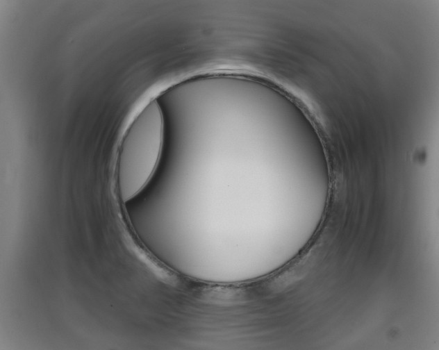 X0000091551374200708171032
