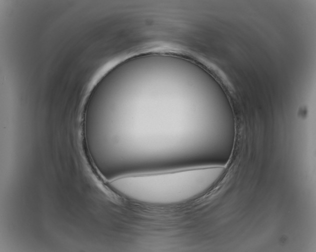 X0000091551375200708171032