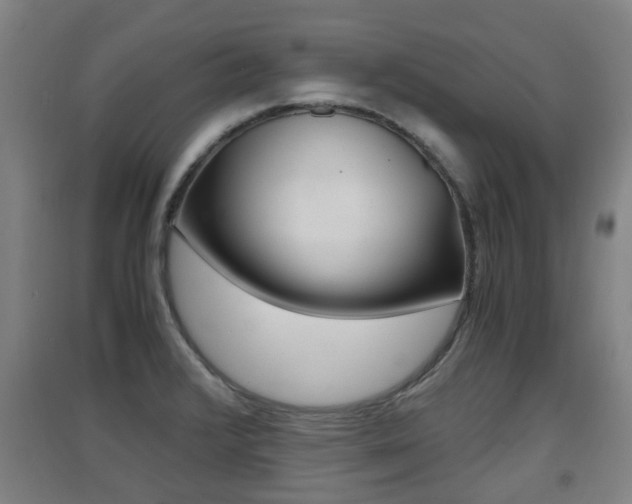 X0000091551376200708171032