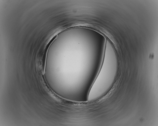 X0000091551377200708171032