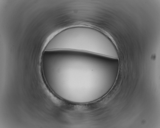X0000091551379200708171032