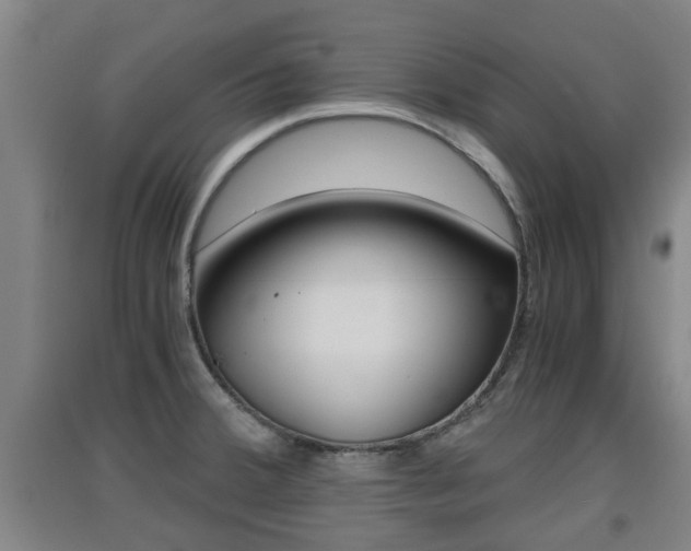 X0000091551380200708171032