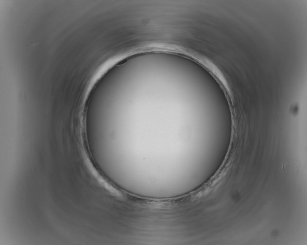 X0000091551381200708171032