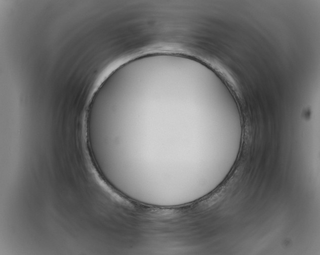 X0000091551382200708171032