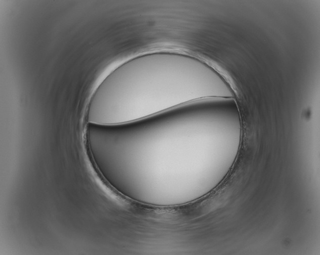 X0000091551383200708171032