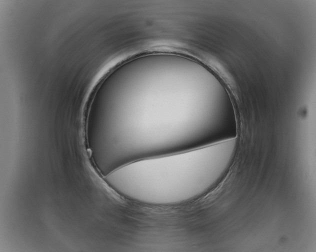 X0000091551384200708171032