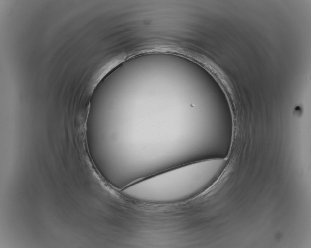 X0000091551385200708171032