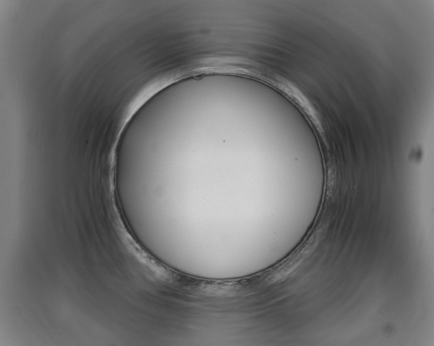X0000091551386200708171032