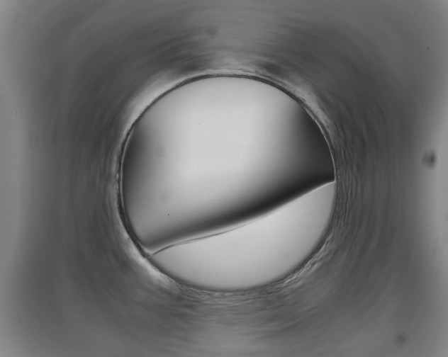 X0000091551387200708171032