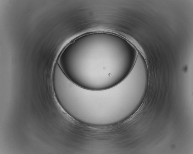 X0000091551388200708171032