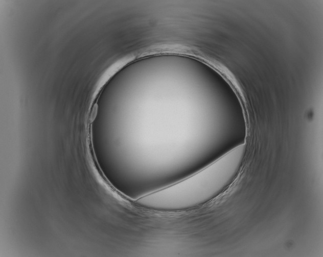 X0000091551389200708171032