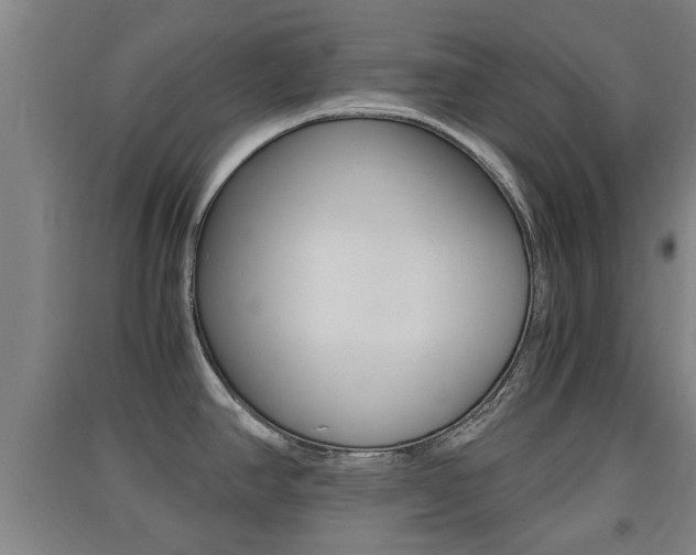 X0000091551390200708171032