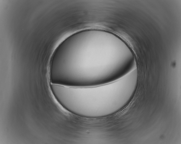 X0000091551391200708171032