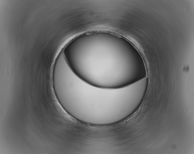 X0000091551392200708171032