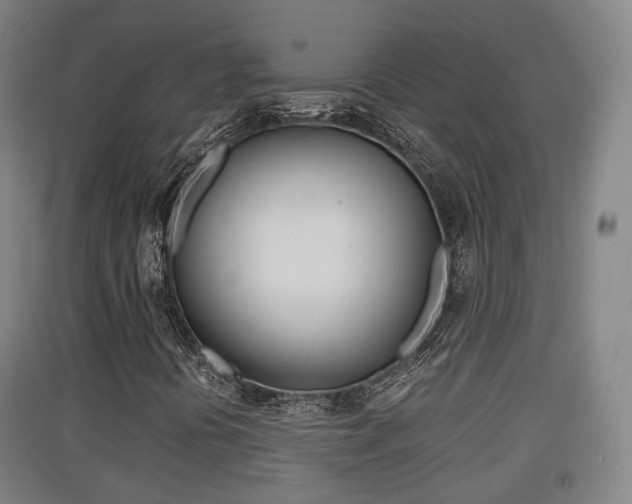X0000091551394200708171031