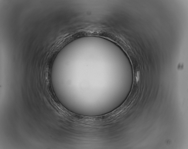 X0000091551396200708171032